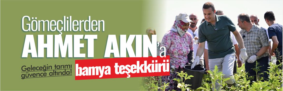 gömeç-ahmet-akın-bamya