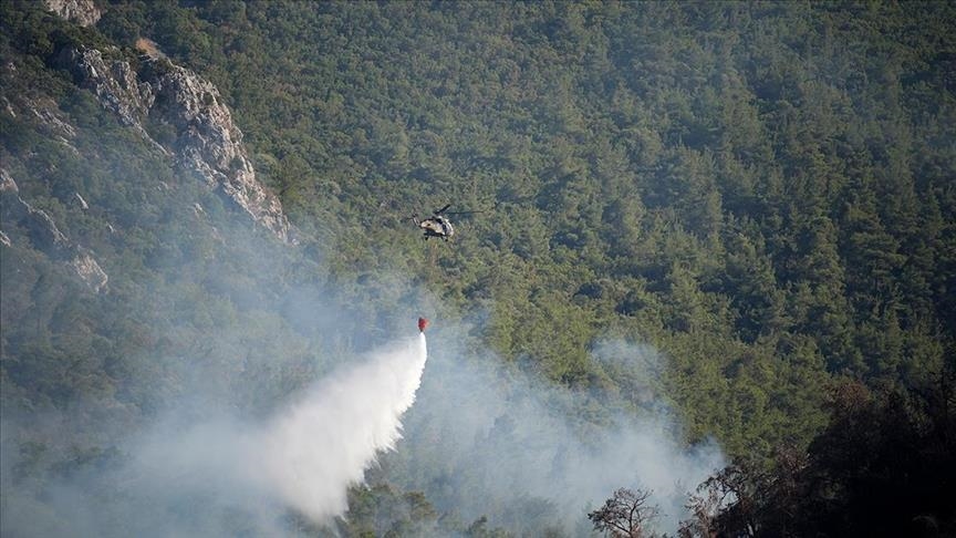 AFAD'dan İzmir ve Aydın'daki yangınlara ilişkin açıklama