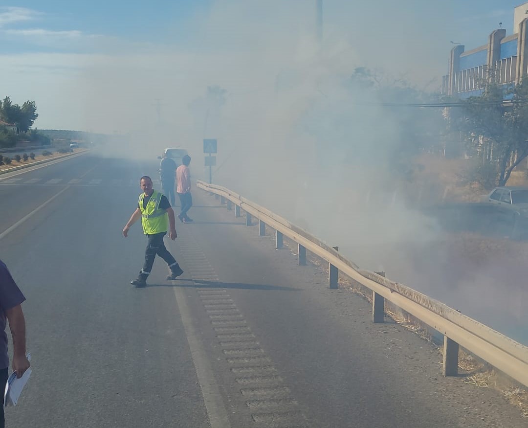 Ayvalık'ta yola atılan sigara izmariti yangına sebep oldu!