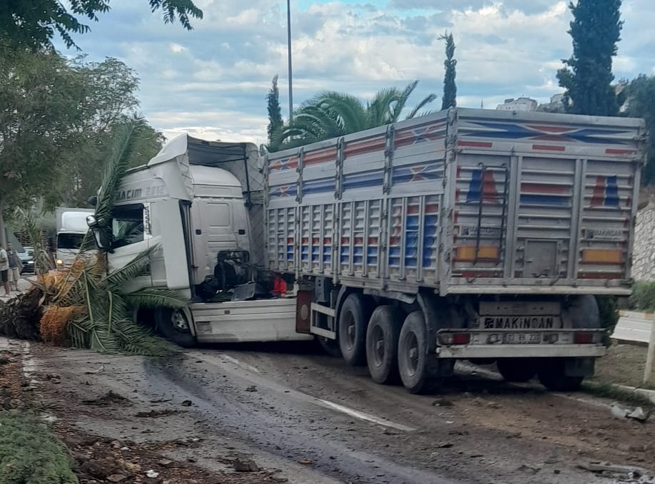 Erdek'te kontrolden çıkan tır ağaca çarptı!