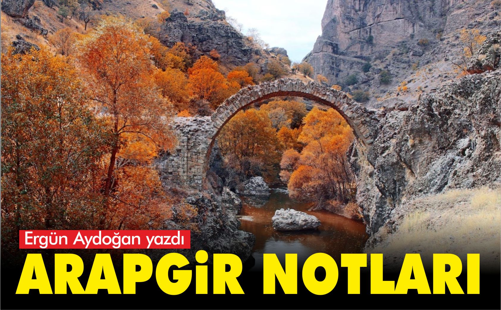 ERGÜN-AYDOĞAN-ARAPGİR-NOTLARI