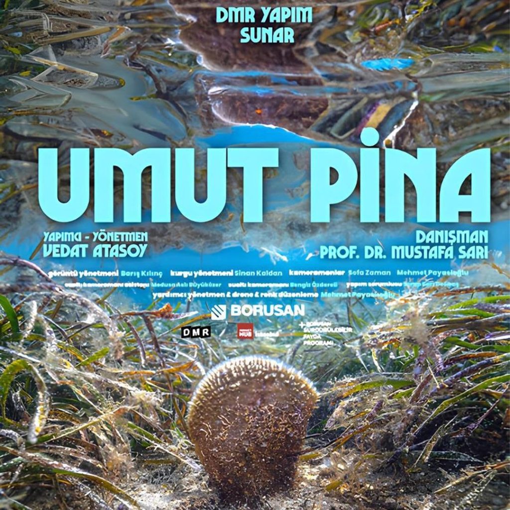 “Umut Pina” belgeseli Altın Koza Film Festivali’nde gösterime girdi!