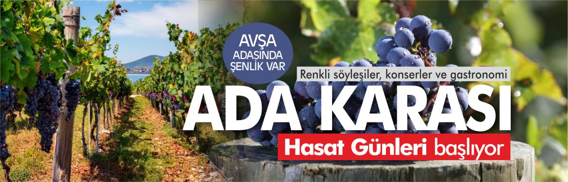 aıvşa-adasi-adakarasi-hasat-şenliği