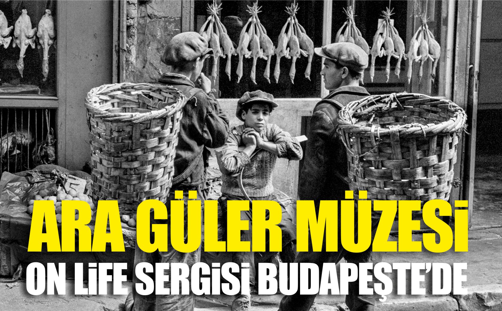 ara-güler-müzesi