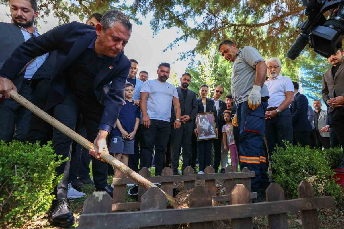 CHP’nin kedisi ’Şero’ Genel Merkez'in bahçesine defnedildi!