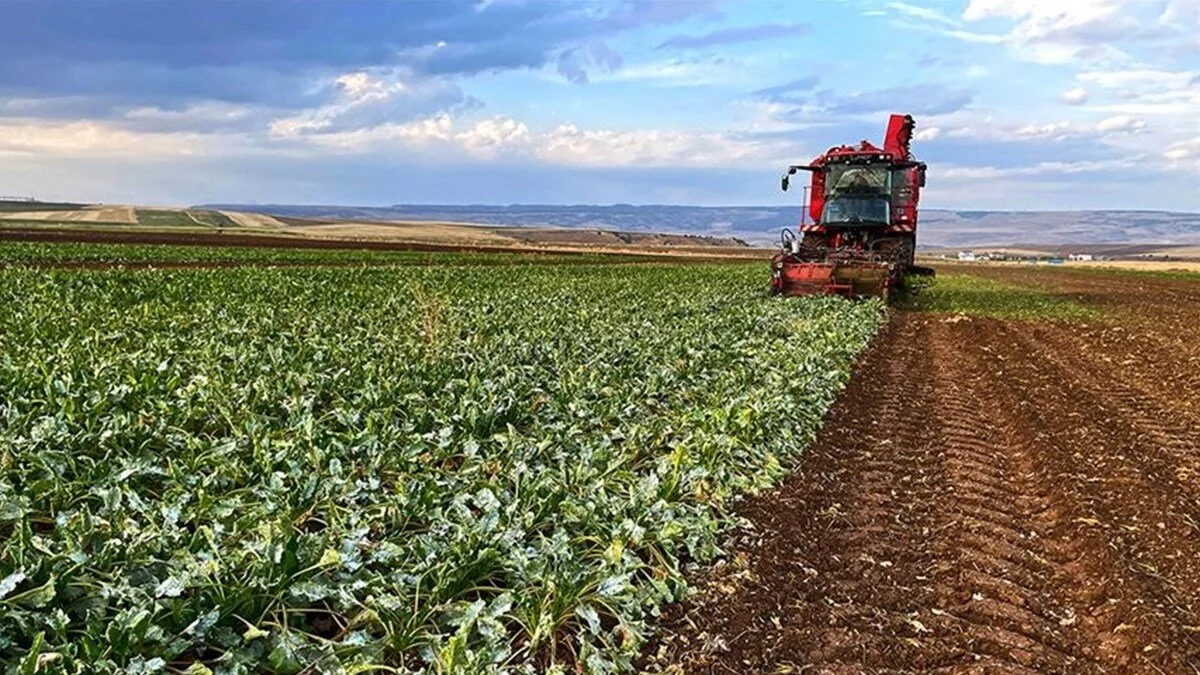 Çiftçinin enflasyonu ağustosta yavaşladı!