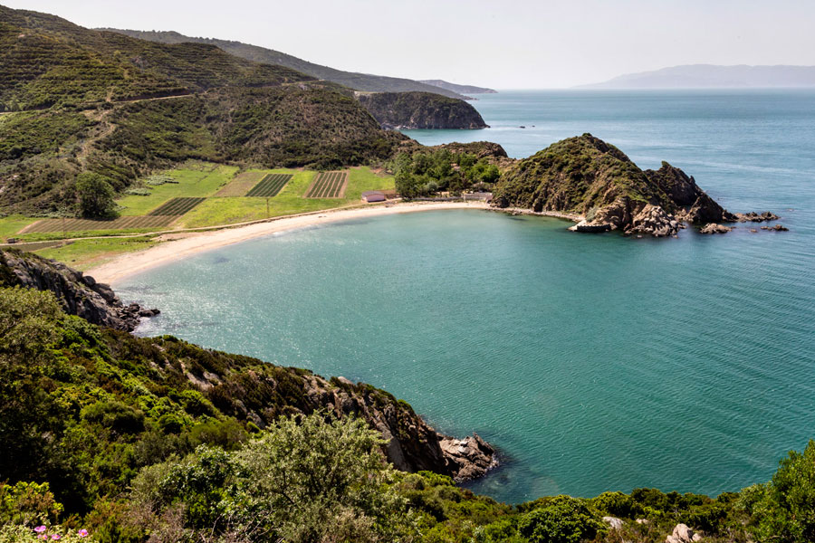 Kapıdağ'ın gölgesinde huzur dolu bir tatil! Kamp severler için Erdek rehberi!