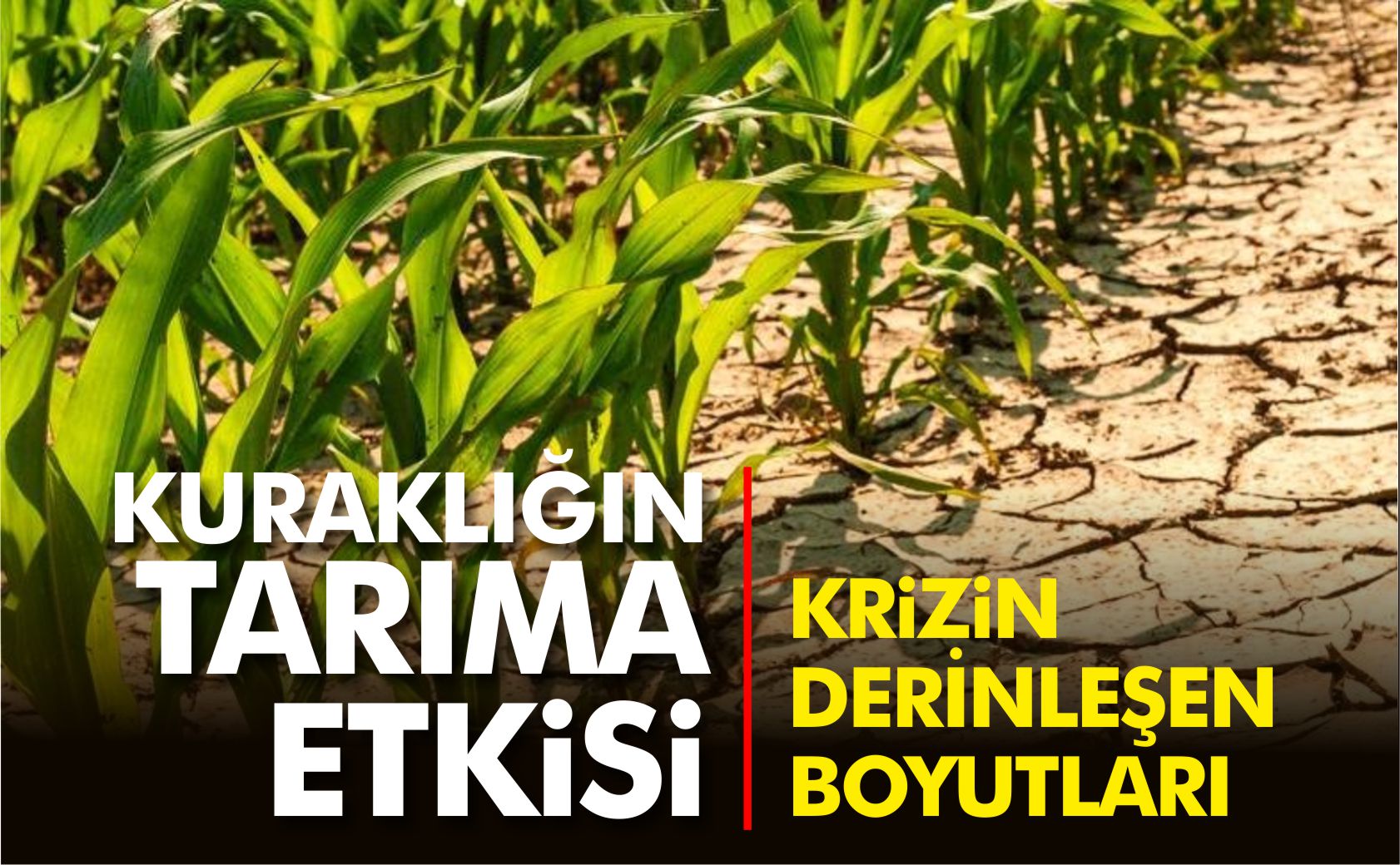 kuraklığın-tarıma-etkisi-krizin-derinleşen-boyutları