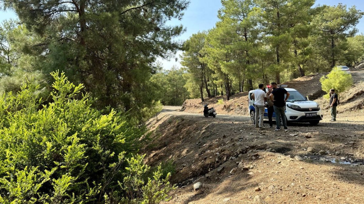 Ormanlık alanda terk edilmiş bebek bulundu!