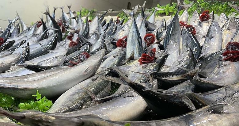 Balık tezgahlarında palamut, hamsi ve çinekop bolluğu yaşanıyor