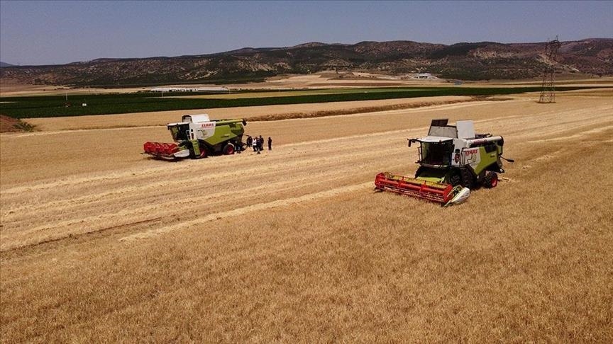 Toprak Mahsulleri Ofisi (TMO) hububat satışlarına başladı