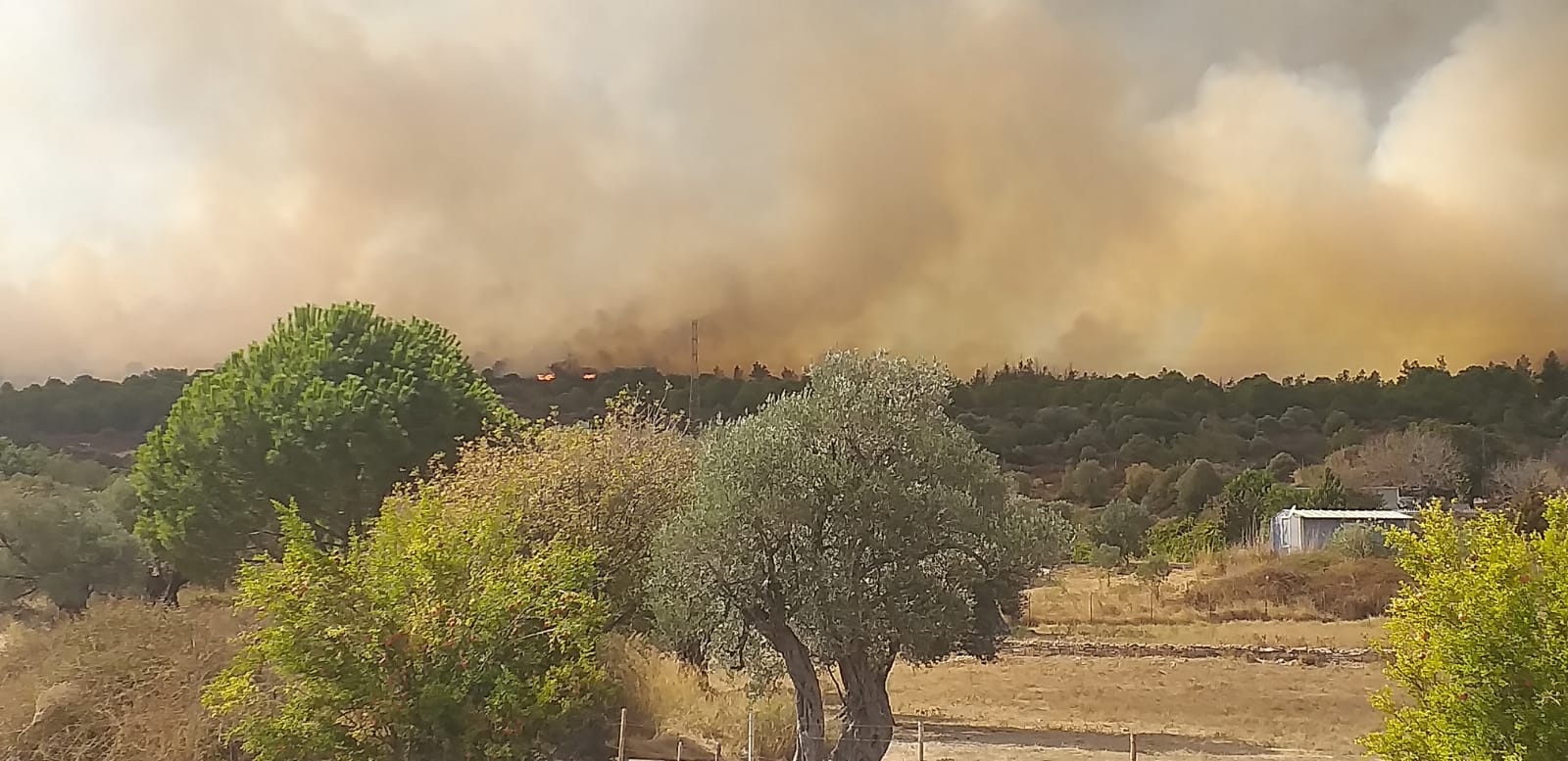 İzmir'de çöplükte çıkan ve ormana sıçrayan yangına müdahale ediliyor