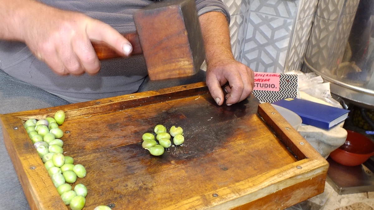 Erdek'te zeytin kırma mesaisi sürüyor!