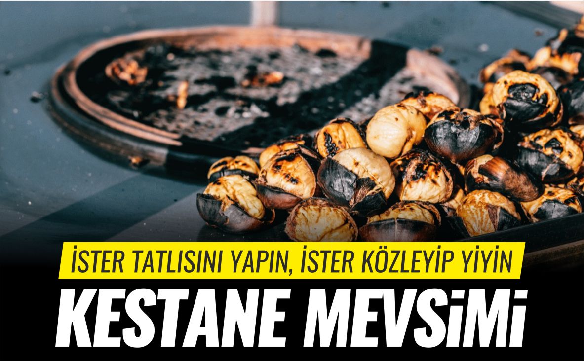 KESTANE-MEVSİMİ