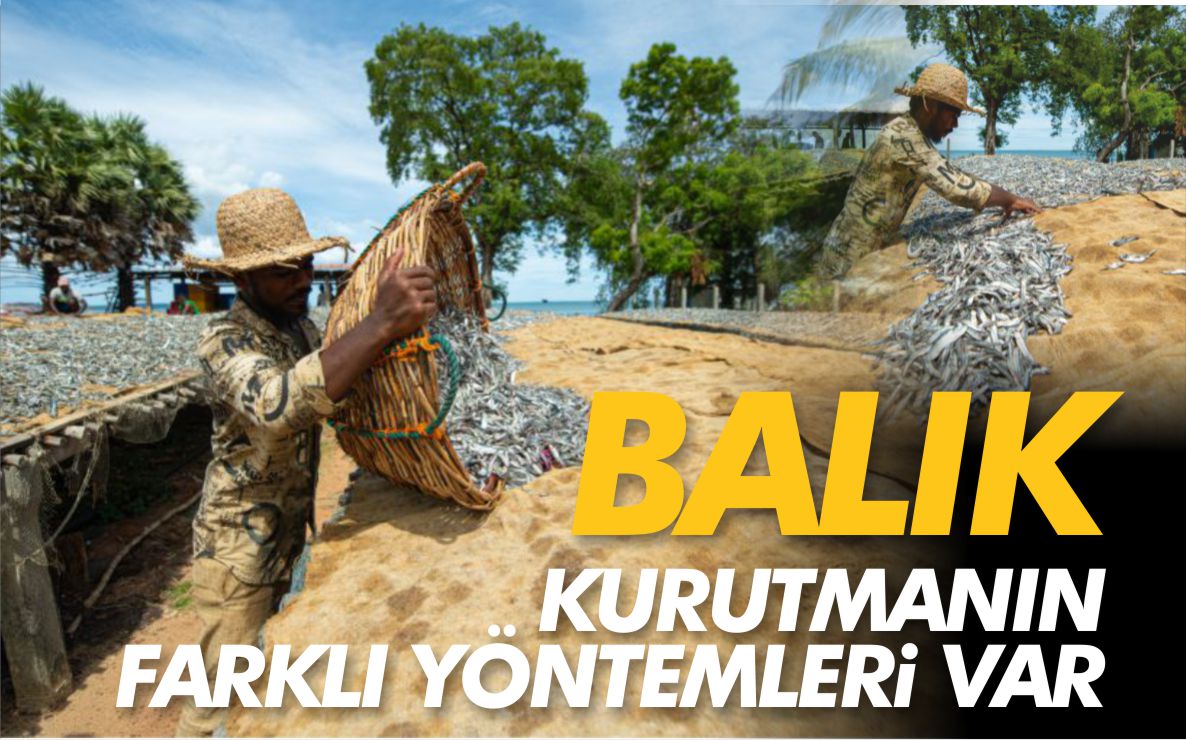 balık-kurutma