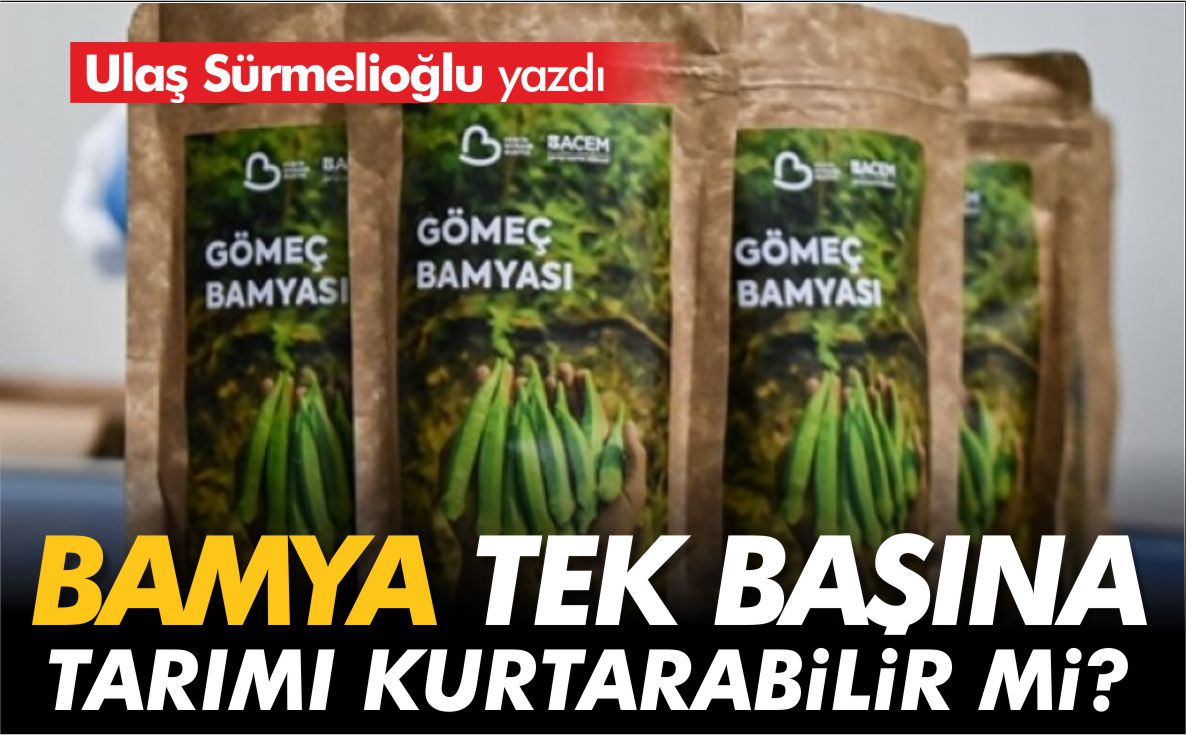 ulaş-sürmelioğlu-bamya-tek-başına-tarımı-kurtarabilir-mi