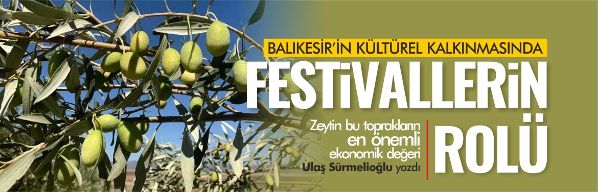 ulaş-sürmelioğlu-zeytin-hasat-festivalleri