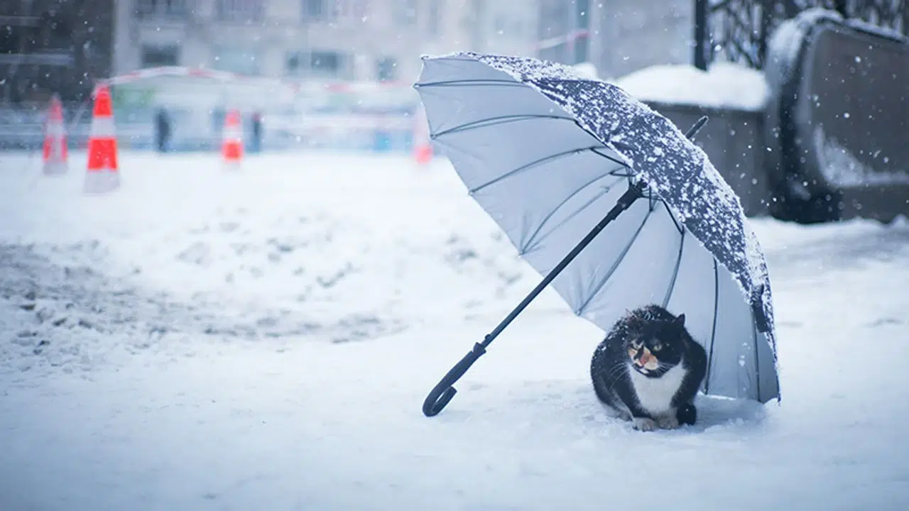 Hava sıcaklıkları düşüyor! 10-12 derece düşecek! Kar geliyor! Balıkesir'de havalar nasıl olacak?