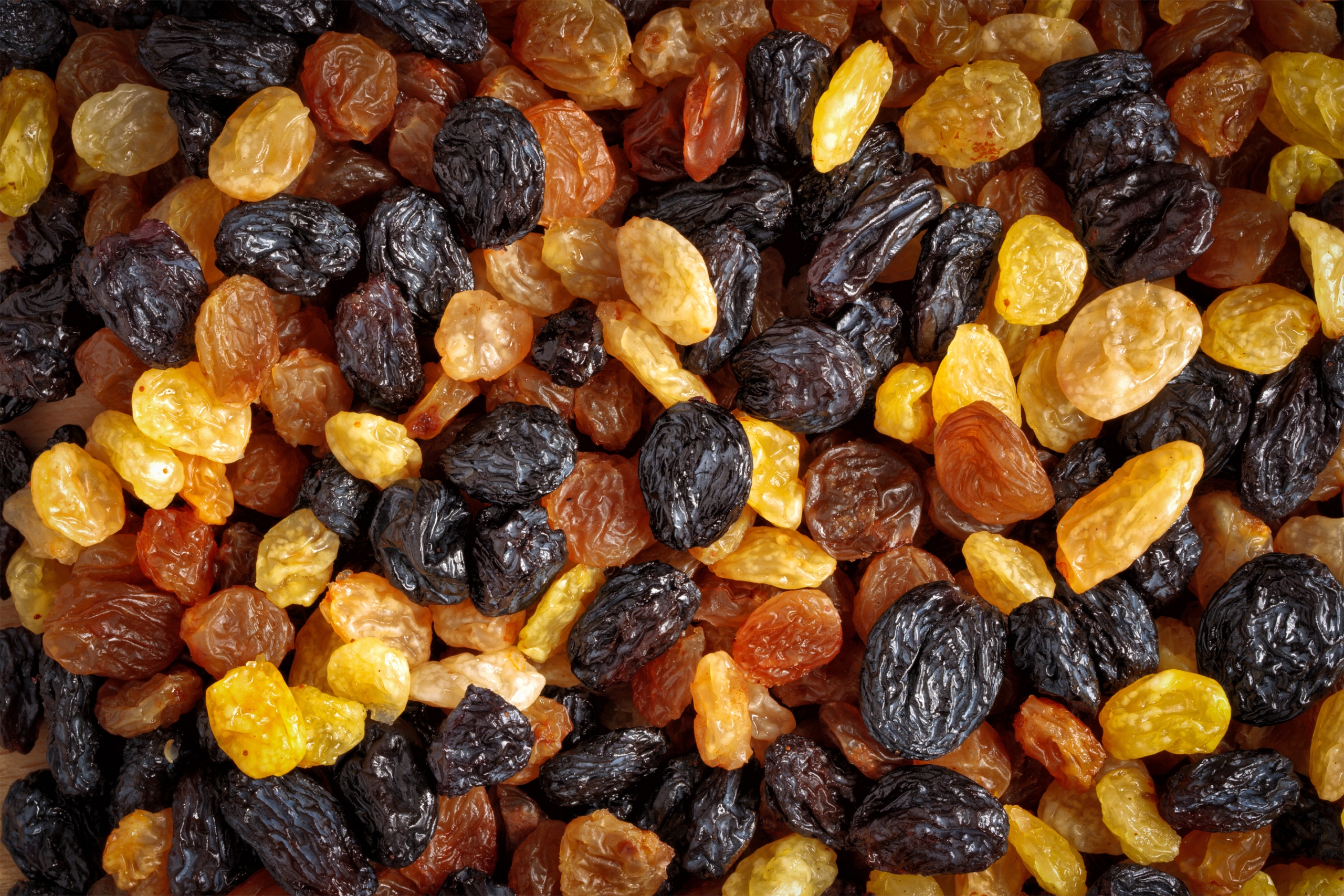 Mixed raisins close up