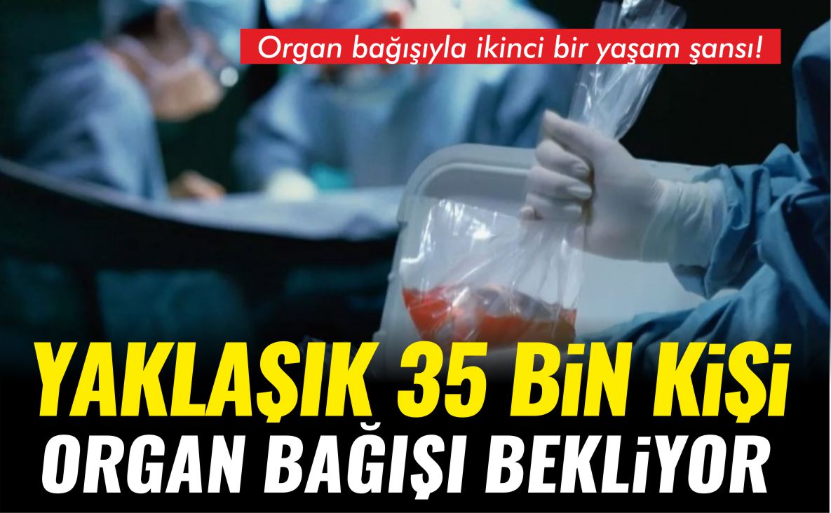 organ-bağışı