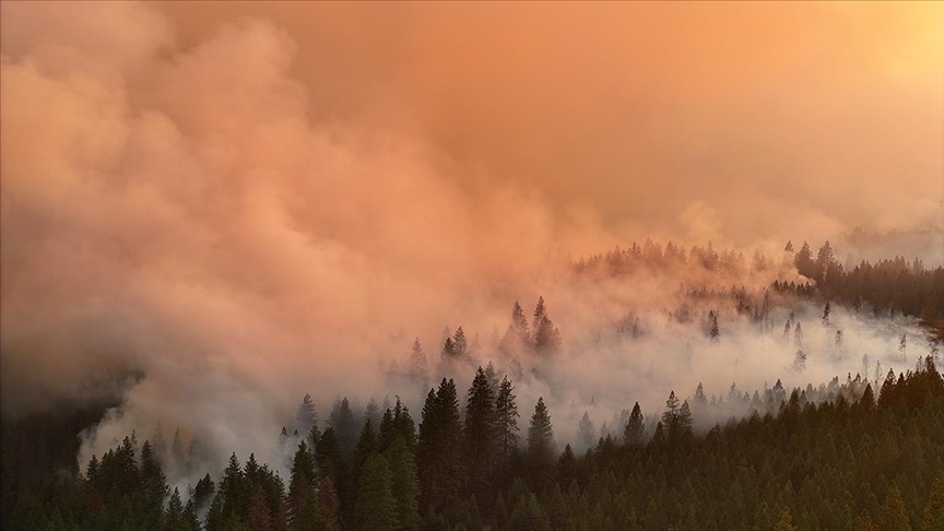 ABD'nin California eyaletinde orman yangını!