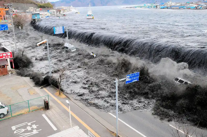 Türkiye için 'tsunami' uyarısı! Olası 'Marmara Depremi' için tsunami uyarısı yapıldı!