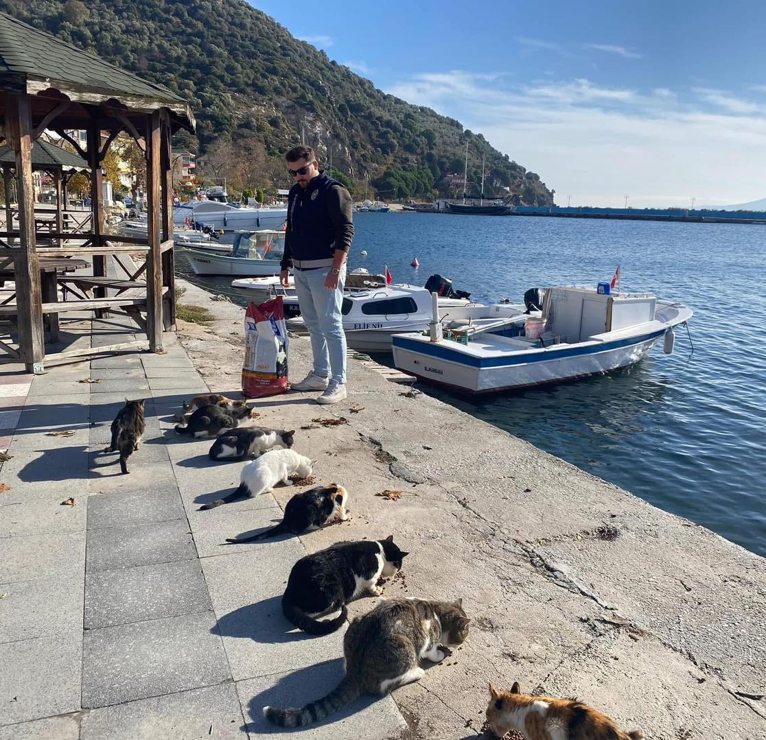 Marmara Adası'nda sokak hayvanları sıcak yuvalarında!