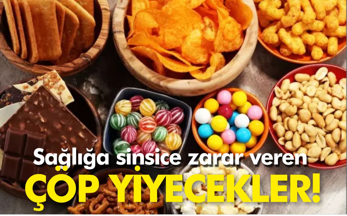 ÇÖP-YİYECEKLER