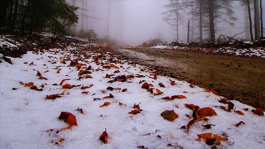 balikesir-kar-yagisi