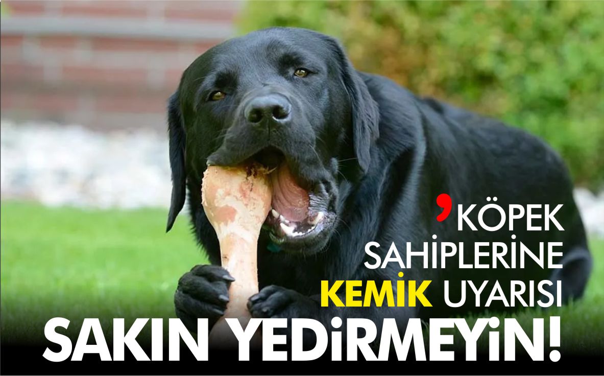 köpeklere-kemik-yedirmeyin