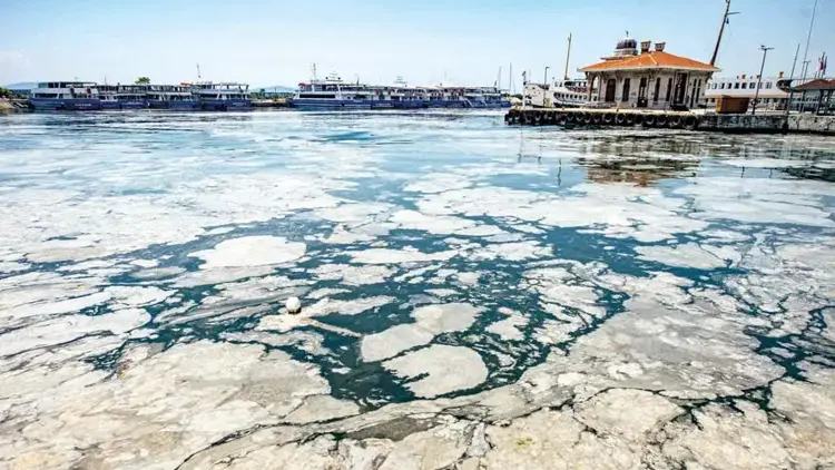 Bakanlık Balıkesir'i uyardı! Gündem 'müsilaj'... ''Balıkesir Büyükşehir Belediyesi'nin 'İleri Arıtma Tesisleri' acilen tamamlanmalı''