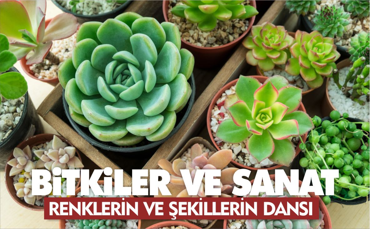 BİTKİLER-VE-SANAT