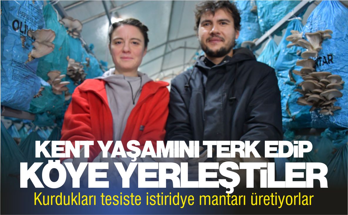 kenti-terk-edip-köye-yerleştiler-istiridye-mantarı-üretiyorlar