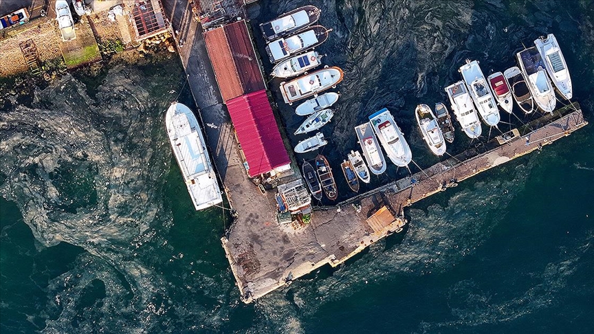 Marmara Denizi'nde yeniden müsilaj görüldü!