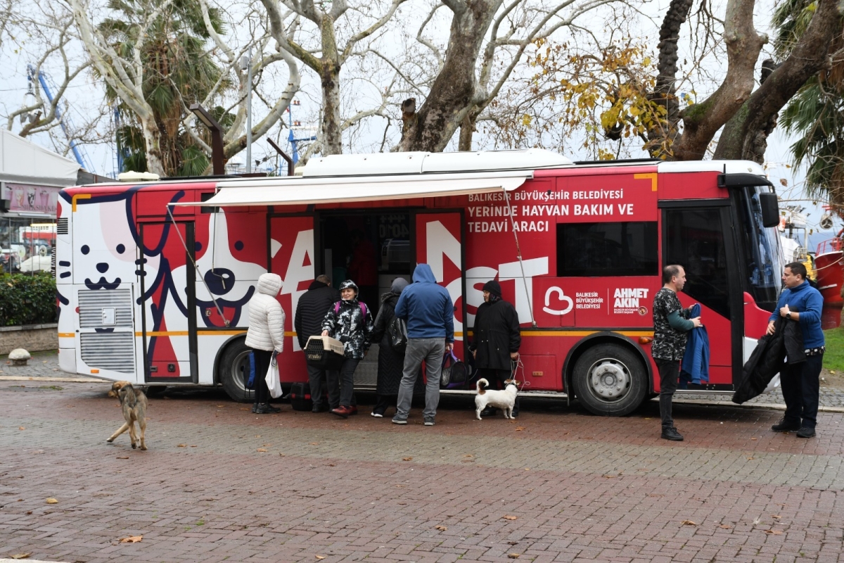 Balıkesir'de sokak hayvanlarına 'Tam Teşekküllü' sağlık hizmeti...