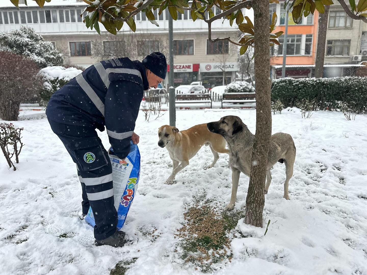 Dursunbey'de yoğun kar yağışında 'can dostlar' unutulmadı!