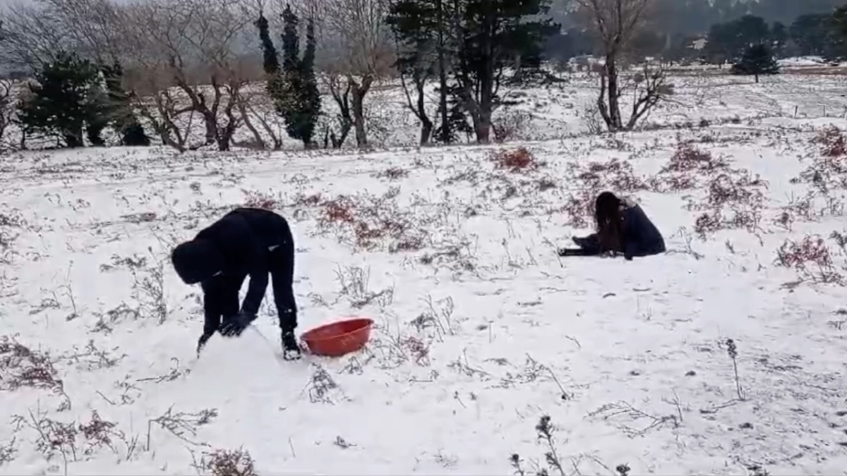 Kazdağları'nda kar keyfi: Edremit ve Havranlılar beyaza bürünmüş doğanın tadını çıkardı