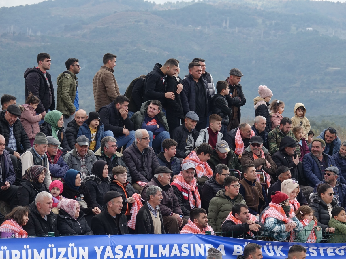 Balıkesir'de "Geleneksel Seyit Onbaşı Deve Güreşleri" yapıldı