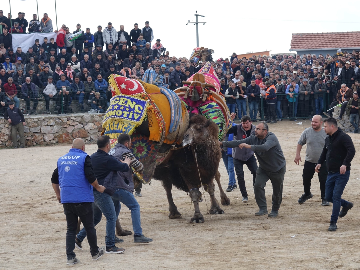 Balıkesir'de 