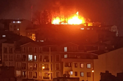 Bursa'da Tarihi Kestel Kalesi Alev Alev Yandı!