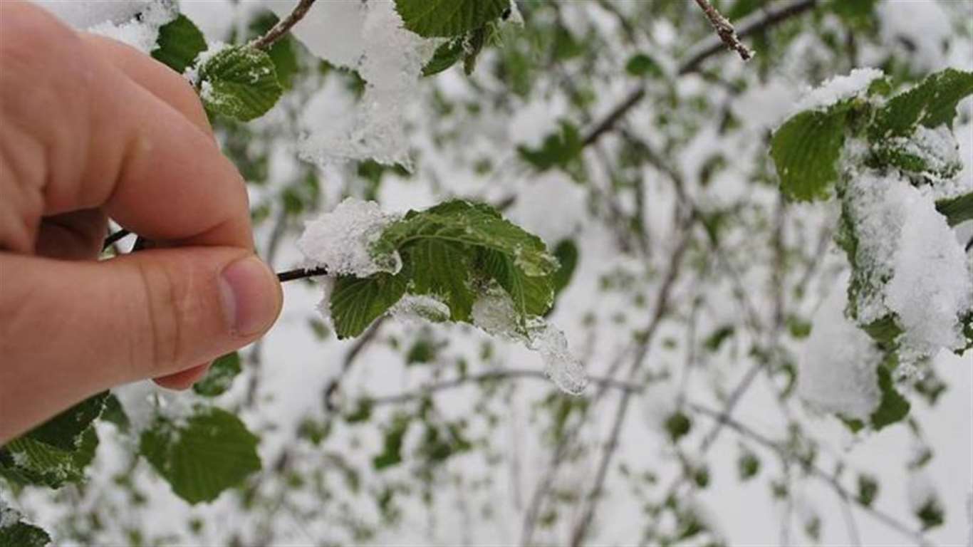 Çiftçiler dikkat! Balıkesir için zirai don uyarısı!