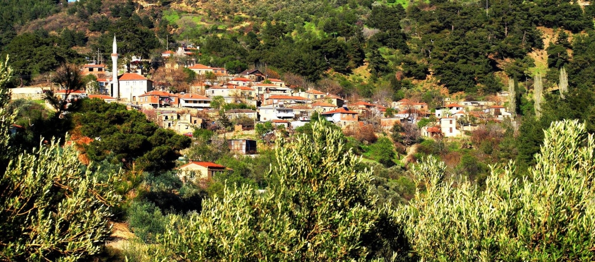 Buraya giden dönmek istemiyor! Zeytin ağaçları arasında sakin ve huzur dolu bir tatil arayanlara... Kazdağları, Nusratlı Köyü: