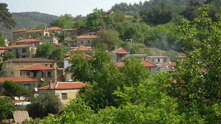 Buraya giden dönmek istemiyor! Zeytin ağaçları arasında sakin ve huzur dolu bir tatil arayanlara... Kazdağları, Nusratlı Köyü: