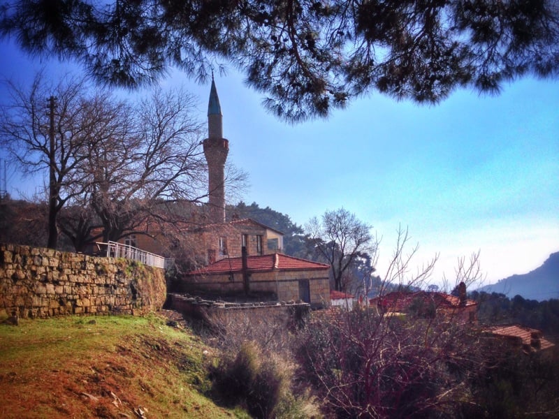 Buraya giden dönmek istemiyor! Zeytin ağaçları arasında sakin ve huzur dolu bir tatil arayanlara... Kazdağları, Nusratlı Köyü: