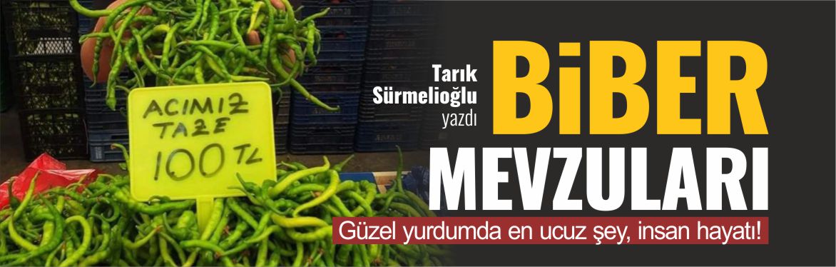 tarık-sürmelioğlu-biber-mevzuları